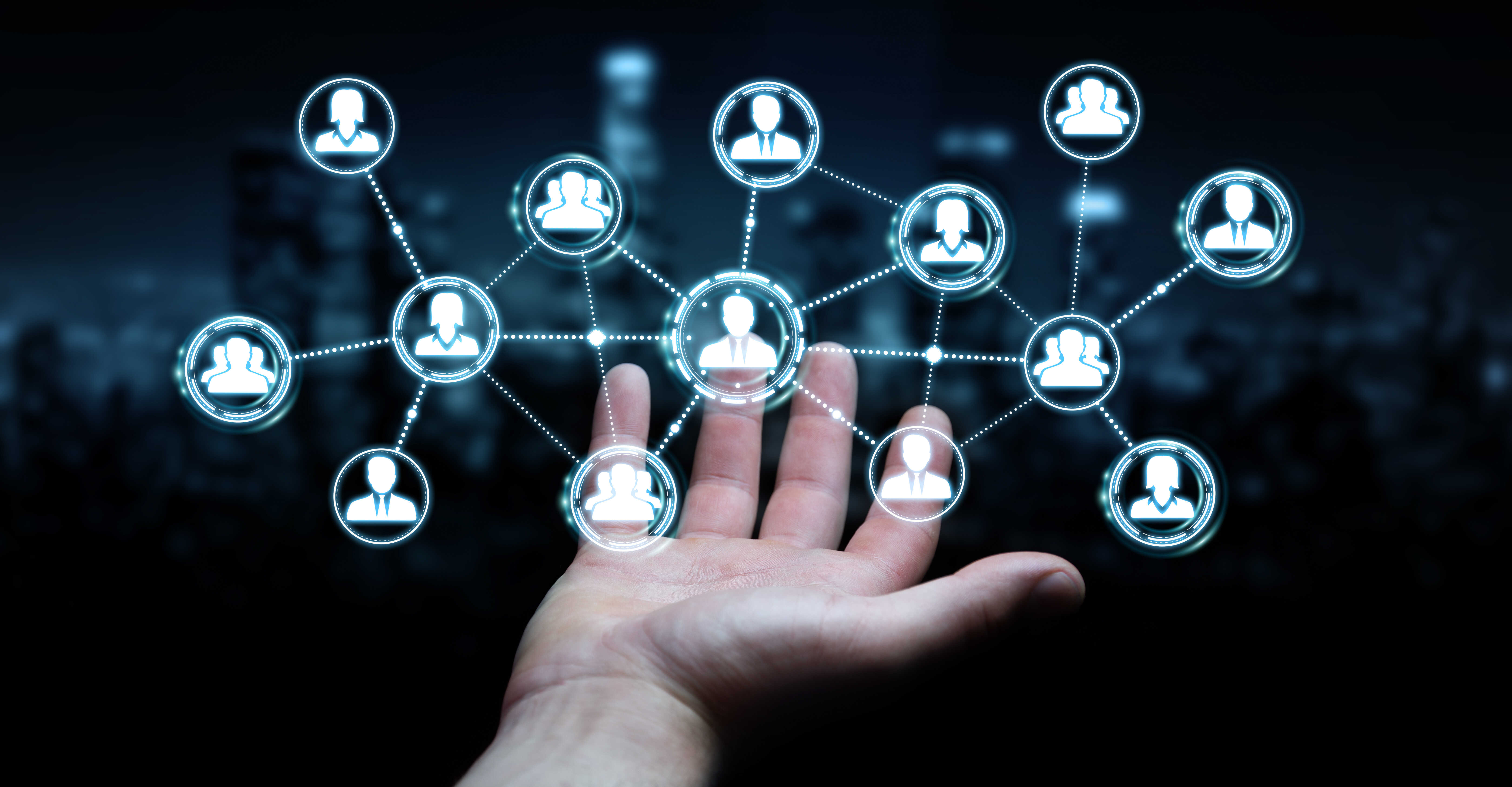 Networking Display website Networking Display website